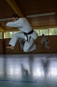 40 Sommertraining Karate Straubing 9