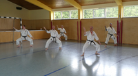 Meisterkurs Karate Finsterau Shorin Ryu Siu Sin Kan 7