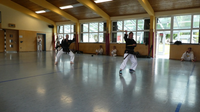 41 Sommerlager Finsterau Shorin Ryu Karate Straubing Regensburg Regenstauf 10