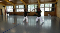 41 Sommerlager Finsterau Shorin Ryu Karate Straubing Regensburg Regenstauf 11