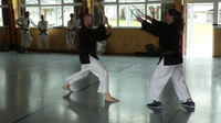41 Sommerlager Finsterau Shorin Ryu Karate Straubing Regensburg Regenstauf 9