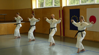 2 Meisterkurs Karate Finterau 3