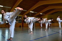 40 Sommertraining Karate Straubing 3