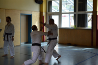 40 Sommertraining Karate Straubing 7