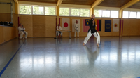 41 Sommerlager Finsterau Shorin Ryu Karate Straubing Regensburg Regenstauf 13