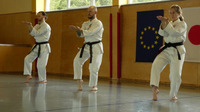 2 Meisterkurs Karate Finterau 5
