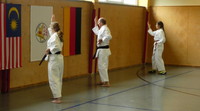 2 Meisterkurs Karate Finterau 9